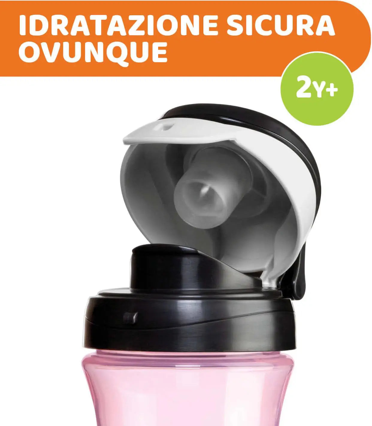 Ch Travel Cup 2y+ Rosa