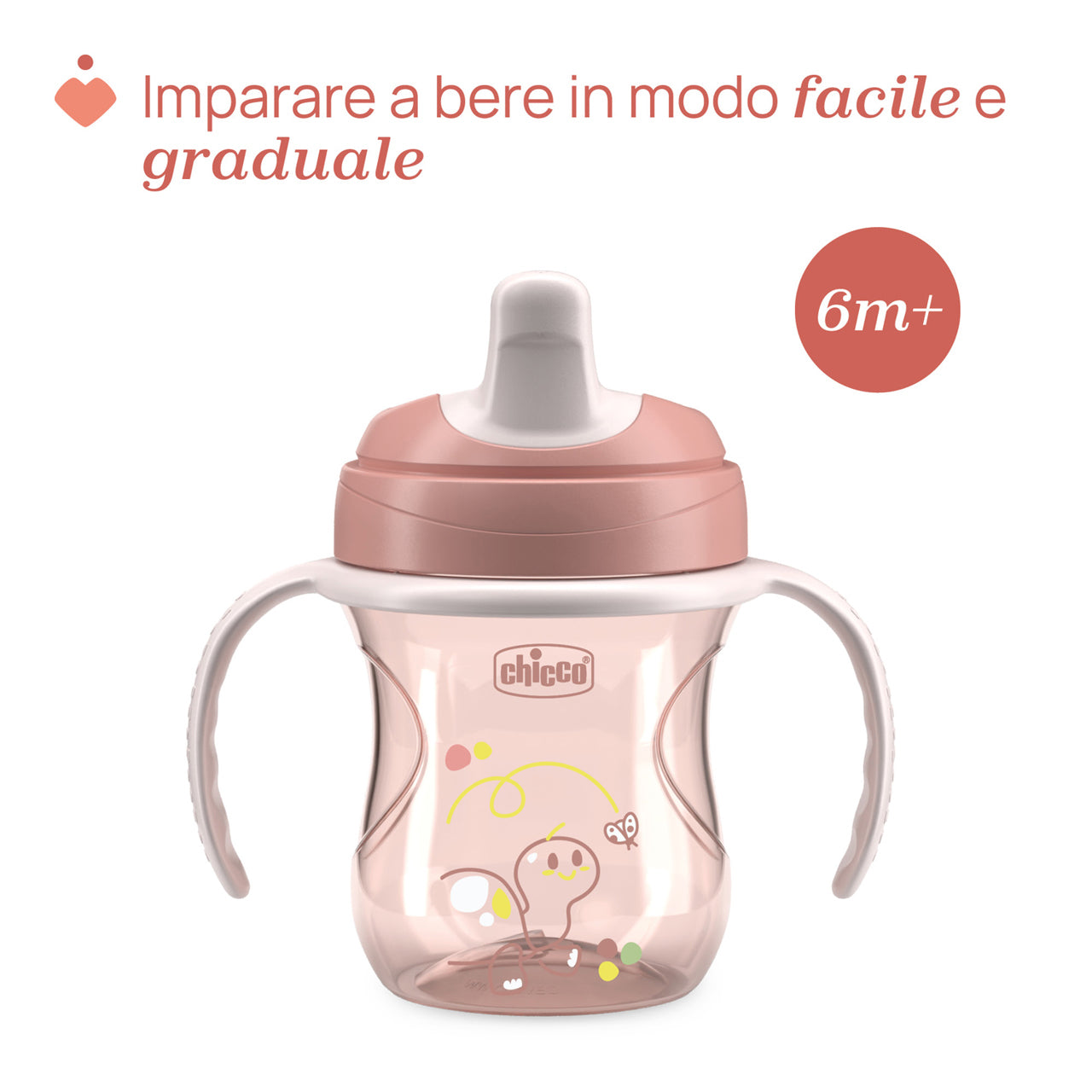 Ch Tazza Training Rosa 6m+