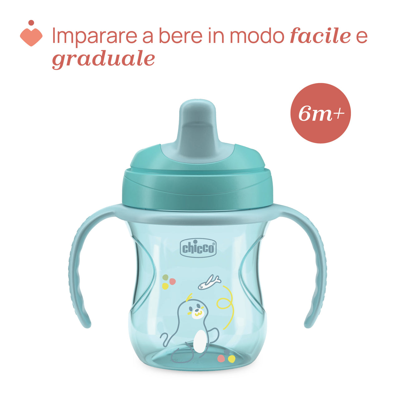 Ch Tazza Training Azzurra 6m+