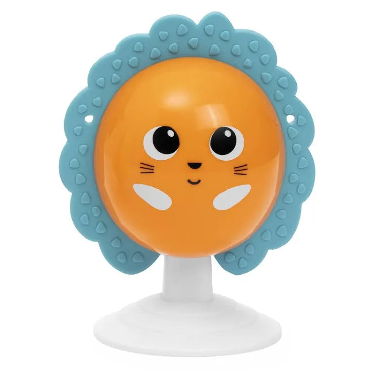 Ch Gioco Bsf Gioco Segg Riccio