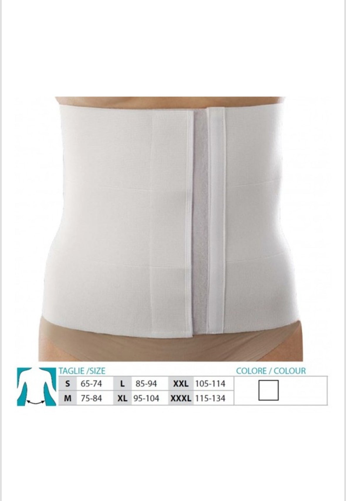 Orione 3091 Fascia 3stris L